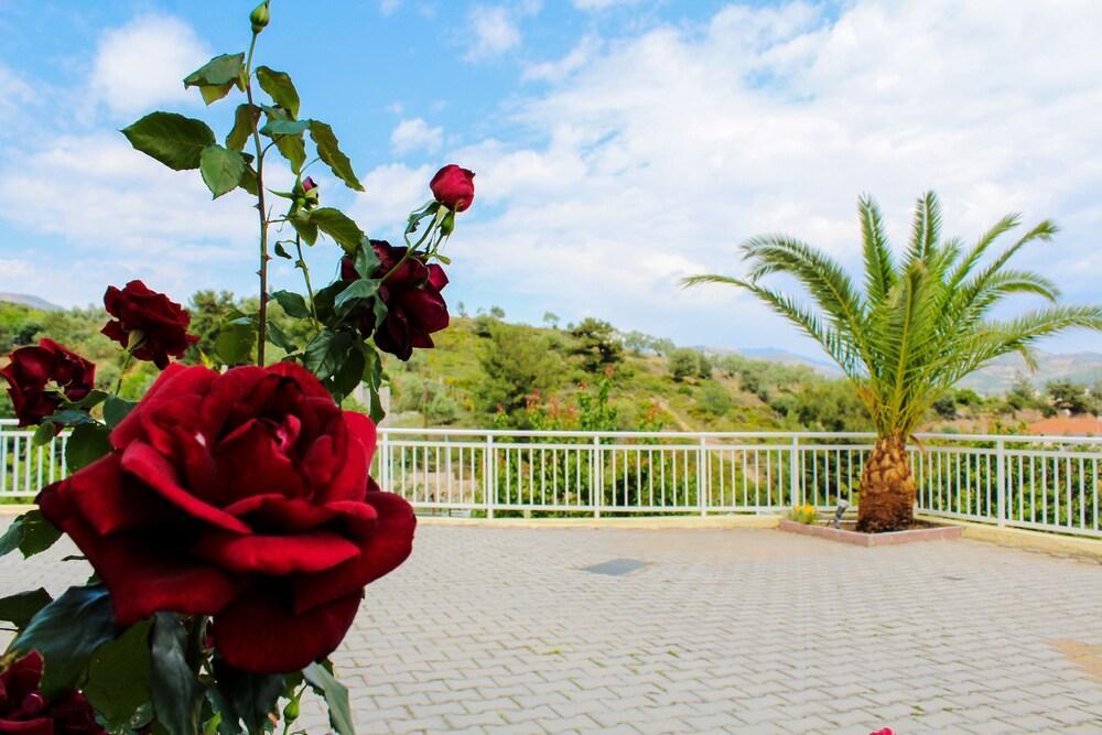 Hotel Diamond Limenaria  Bagian luar foto